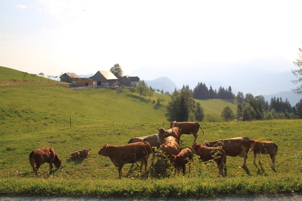 Bio-Bauernhof Kurzeck Villa Göstling an der Ybbs Exterior foto