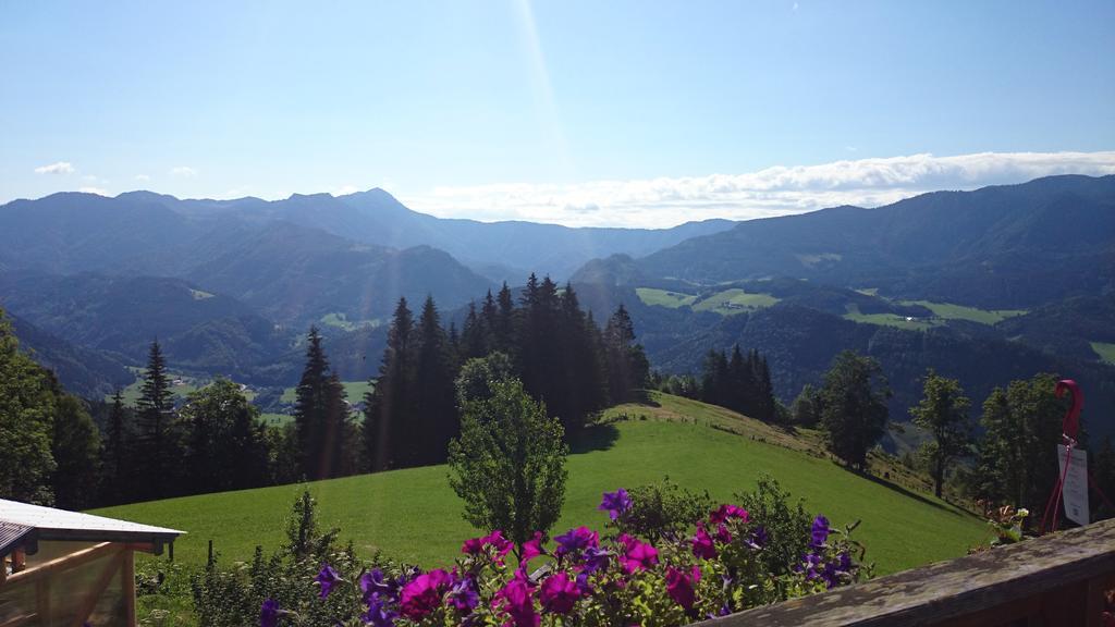 Bio-Bauernhof Kurzeck Villa Göstling an der Ybbs Exterior foto